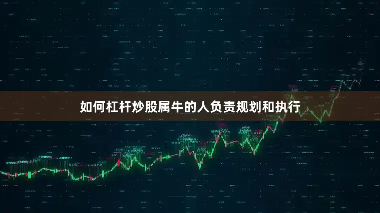 如何杠杆炒股属牛的人负责规划和执行