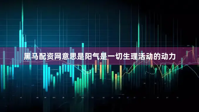 黑马配资网意思是阳气是一切生理活动的动力