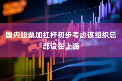 国内股票加杠杆初步考虑该组织总部设在上海